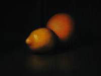 Painting Still Life - Lemon And Orange - first class oil still life