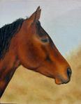 Logo - Painting of a horse